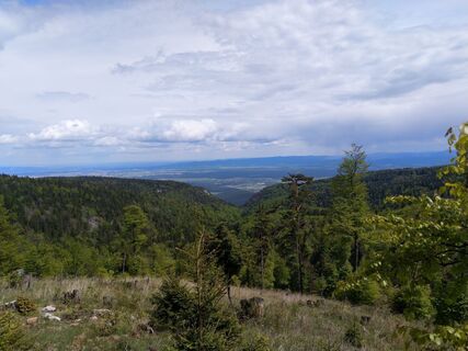 Fotografia z Anton Prinz na trase