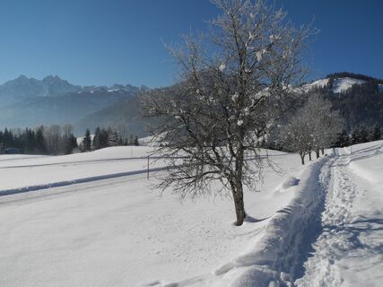 Winterwandern Schwendt Bichlach.JPG