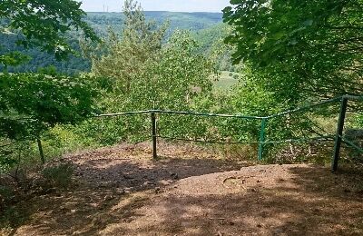 Felsenblick