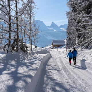 Winterwanderweg Laui