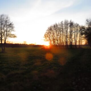 Sonnenuntergang bei Herxheim