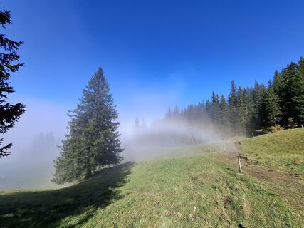 Photo de Maurer Silvia le long du parcours