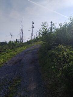 Foto von Jan Paukisch entlang der Tour