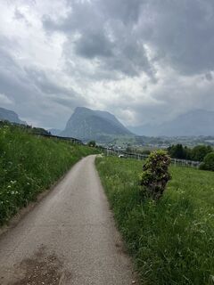 Foto von Heikoala entlang der Tour