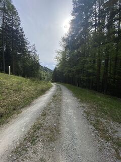 Foto från eva_mountaininlove under resans gång