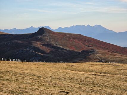 Fotografia z TwilightTea na trase