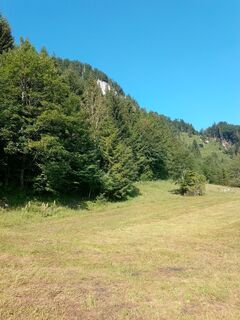 Foto von Lisa Pimminger 1 entlang der Tour