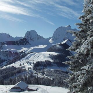 Schneeschuhtrail Selibüel-Panoramatrail
