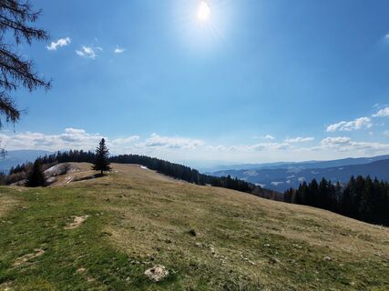 Foto von Michi Moder entlang der Tour