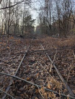 Foto von Matje Derks entlang der Tour