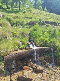 Foto fra Dagmar Hofer underveis på turen
