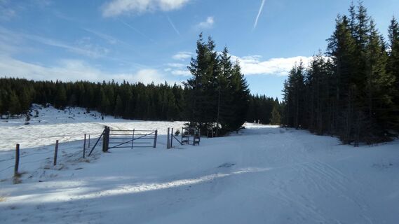 Links Cross-Country