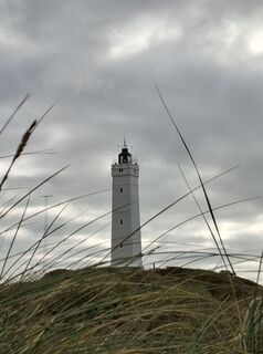 Foto von nordbergschnecke entlang der Tour