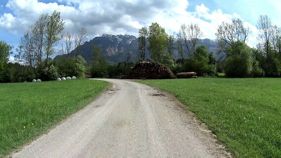 Walser Wiesen