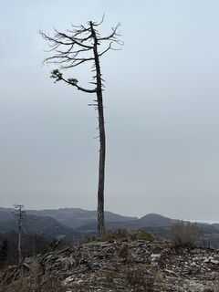 Fotografie de la Rene Lenz de-a lungul turului
