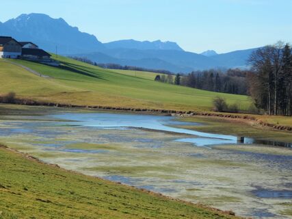 Ragginger See (entleert)