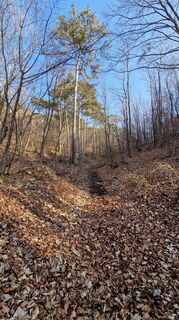 Fotografie z EP87 na trase