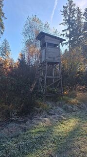 Fotografia z Günter Stelzmüller na trase