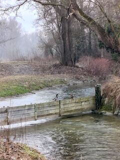Foto de Poschacher a lo largo del recorrido
