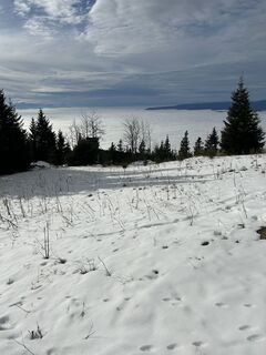 Foto von Carola Krems entlang der Tour