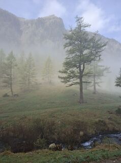 Photo de Silvia Hansmann le long du parcours