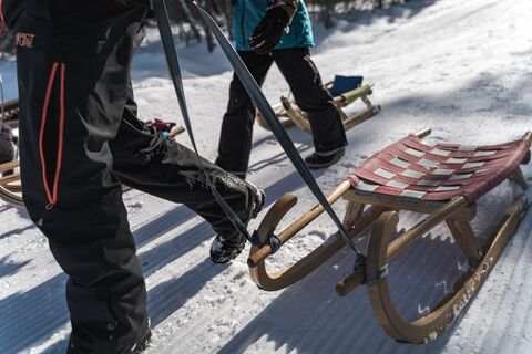 Rodeln TVB Pillerseetal © Klaus Listl_freezingmotions_WEB (46).jpg