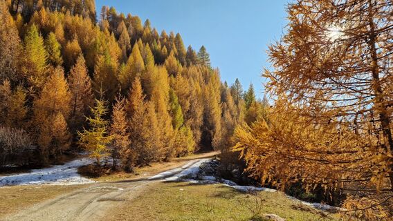 Fotografija s spletne strani Fabrizi Mellano na poti