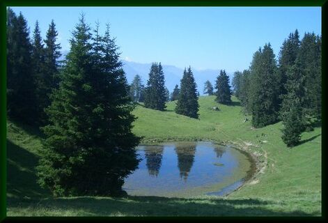 Haiminger Alm