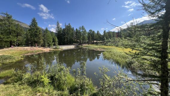Foto von Pezzotta entlang der Tour