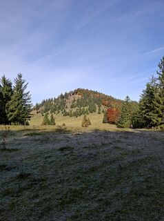 Foto från Oliver Vecera under resans gång
