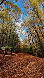 Fotografia z Regina Fleischmann na trase