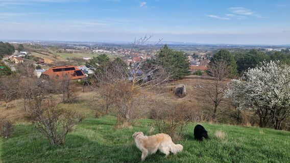 Foto von Claudia Maurer entlang der Tour