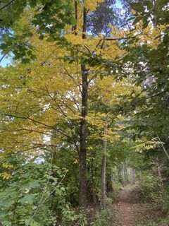Photo de Reinhard S le long du parcours