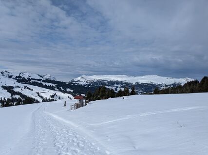 Fotografija s spletne strani mtmc na poti