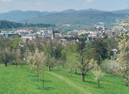 Fernsicht vom Heiternplatz über Zofingen