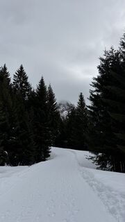 Foto von Leon entlang der Tour