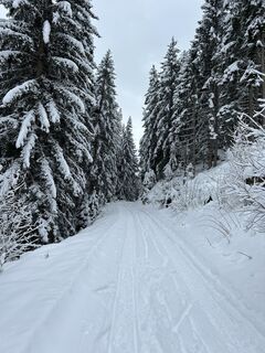 Photo de Paul le long du parcours