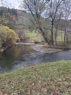 Zdjęcie z Mimi wzdłuż trasy