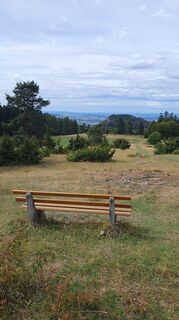 Photo de Anne Wildbrett le long du parcours