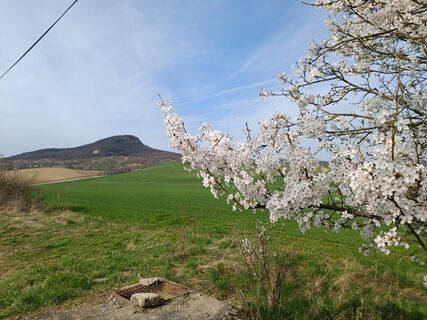 Zdjęcie z karazoltan wzdłuż trasy