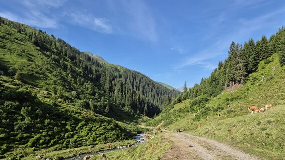 Photo de BarbischNicole le long du parcours