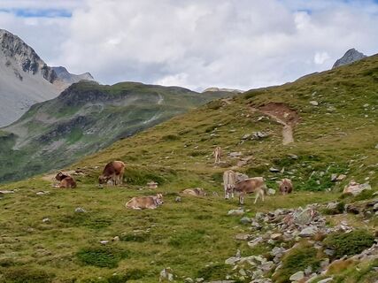 Fotografia z Wanderbursche66 na trase