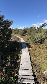 Photo de Richard Vlcek le long du parcours