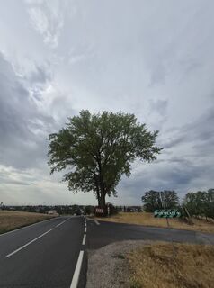 Photo de Markus Hummelbrunner le long du parcours