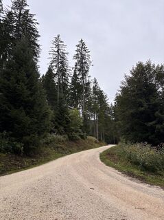 Foto von Heinz Sperl entlang der Tour