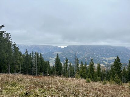 Fotografia z BeeKay na trase