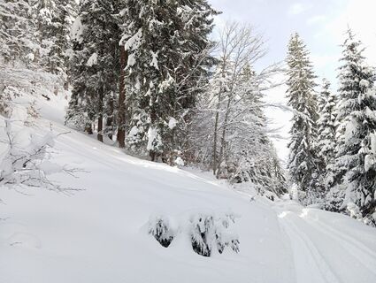 Foto von Kiki entlang der Tour