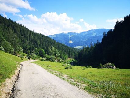 Scheffau_Kaiseralm-Runde_Wilder Kaiser