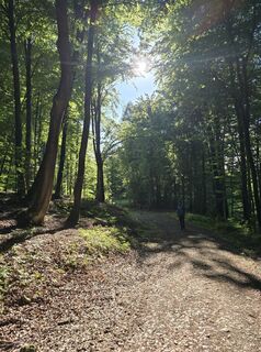 Photo de Reinhard Schuster le long du parcours