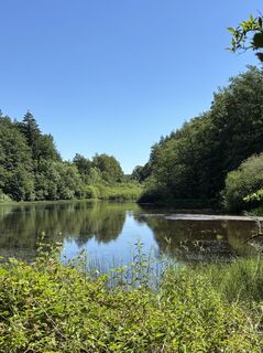 Foto von Rüdi entlang der Tour